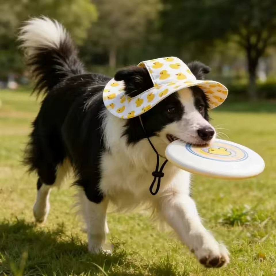 LaunchPaw Small Breed Hats 🐾